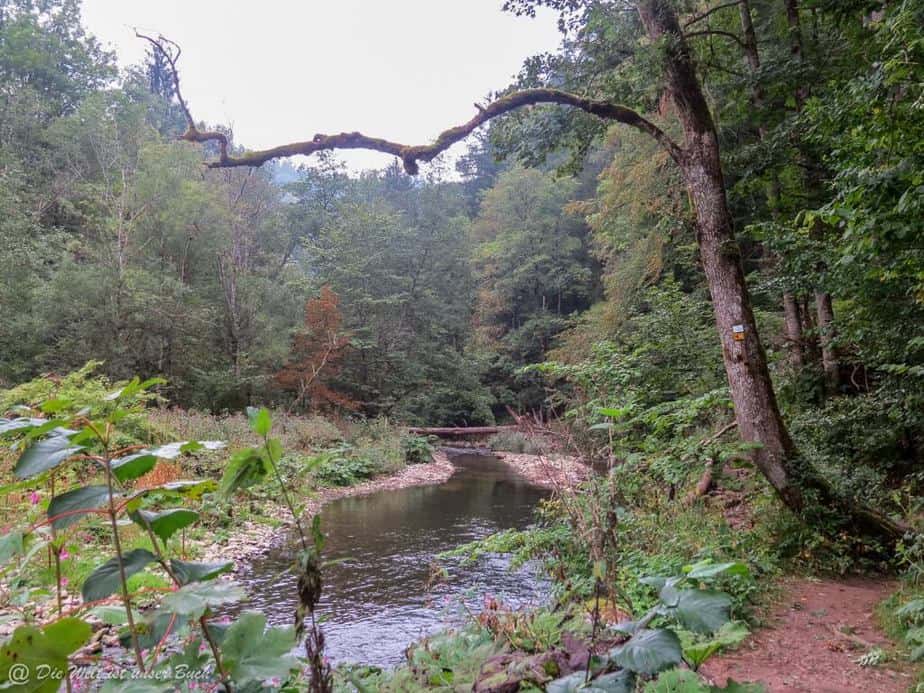Wanderung durch die Wutach Schlucht