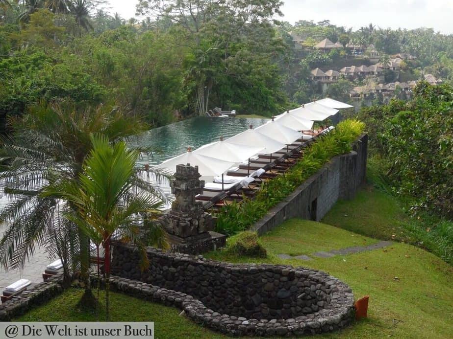 Infinity Pool im Dschungelhotel Alila Ubud