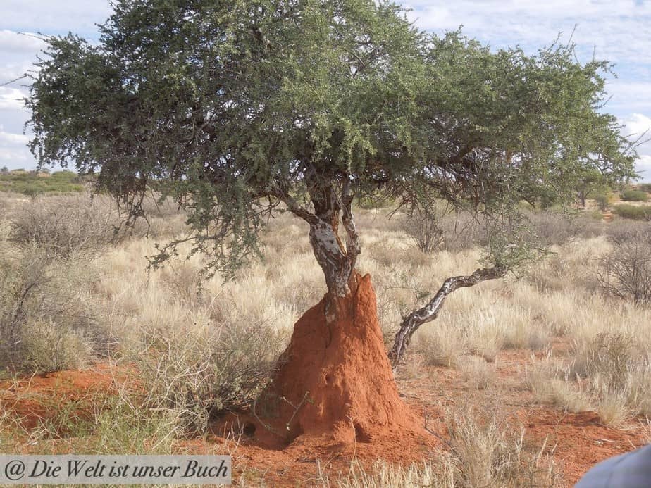 Namibia