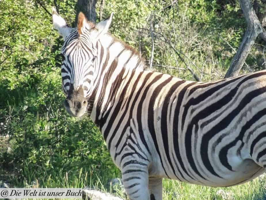 Etosha Nationalpark